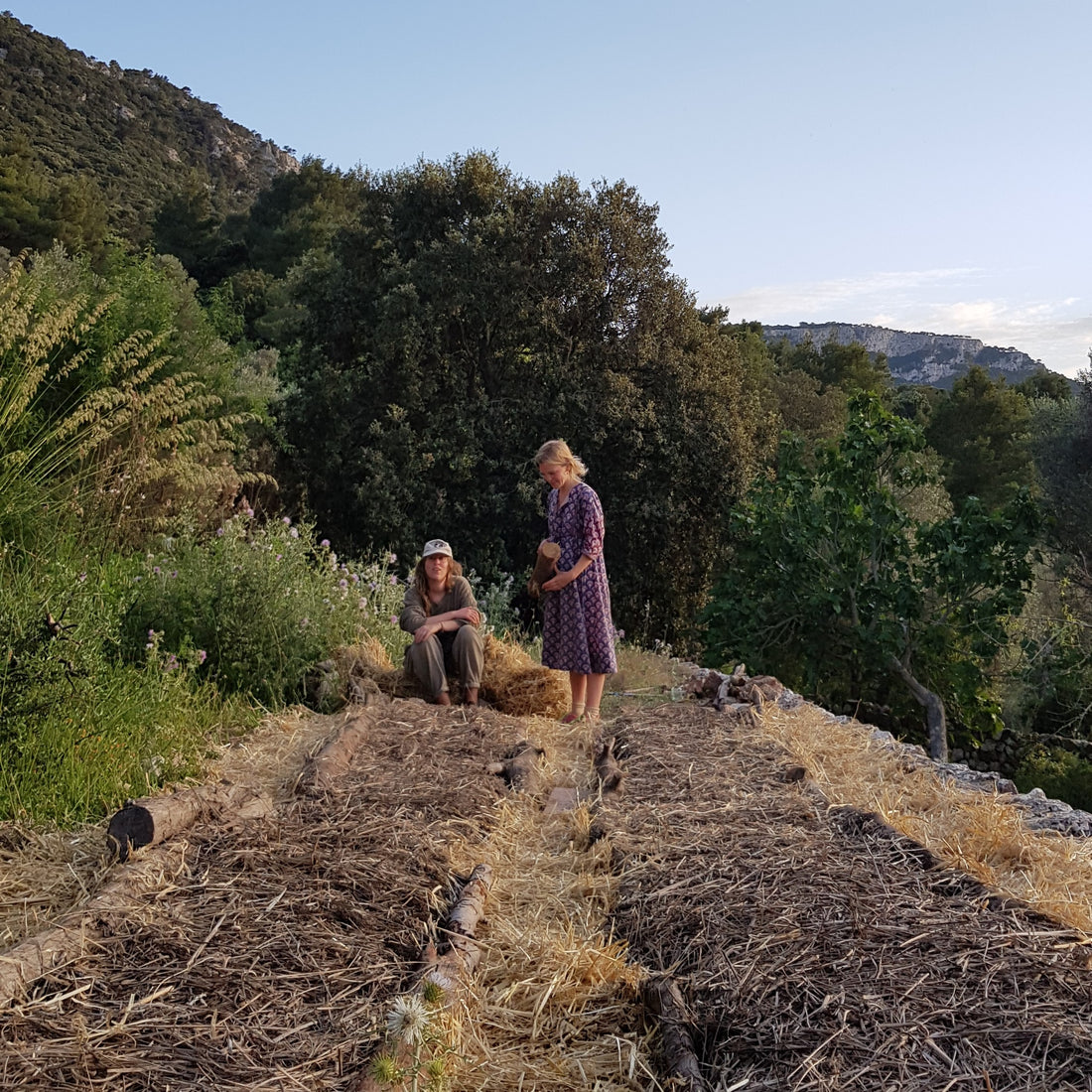 Wunder Workshop Biodiversity