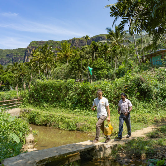 Wunder Workshop River Sri Lanka