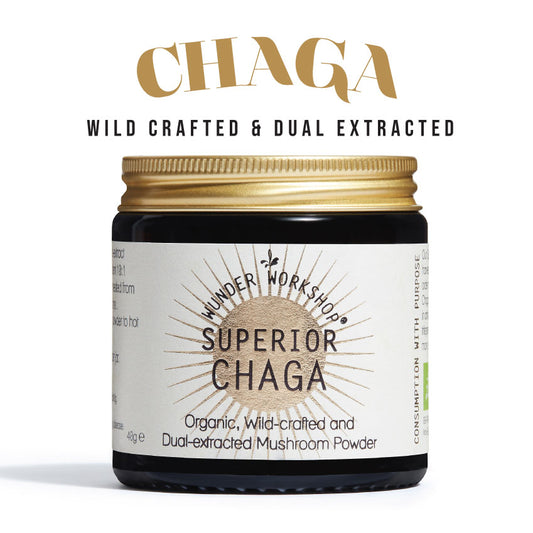 Spotlight on Chaga - Wunder Workshop