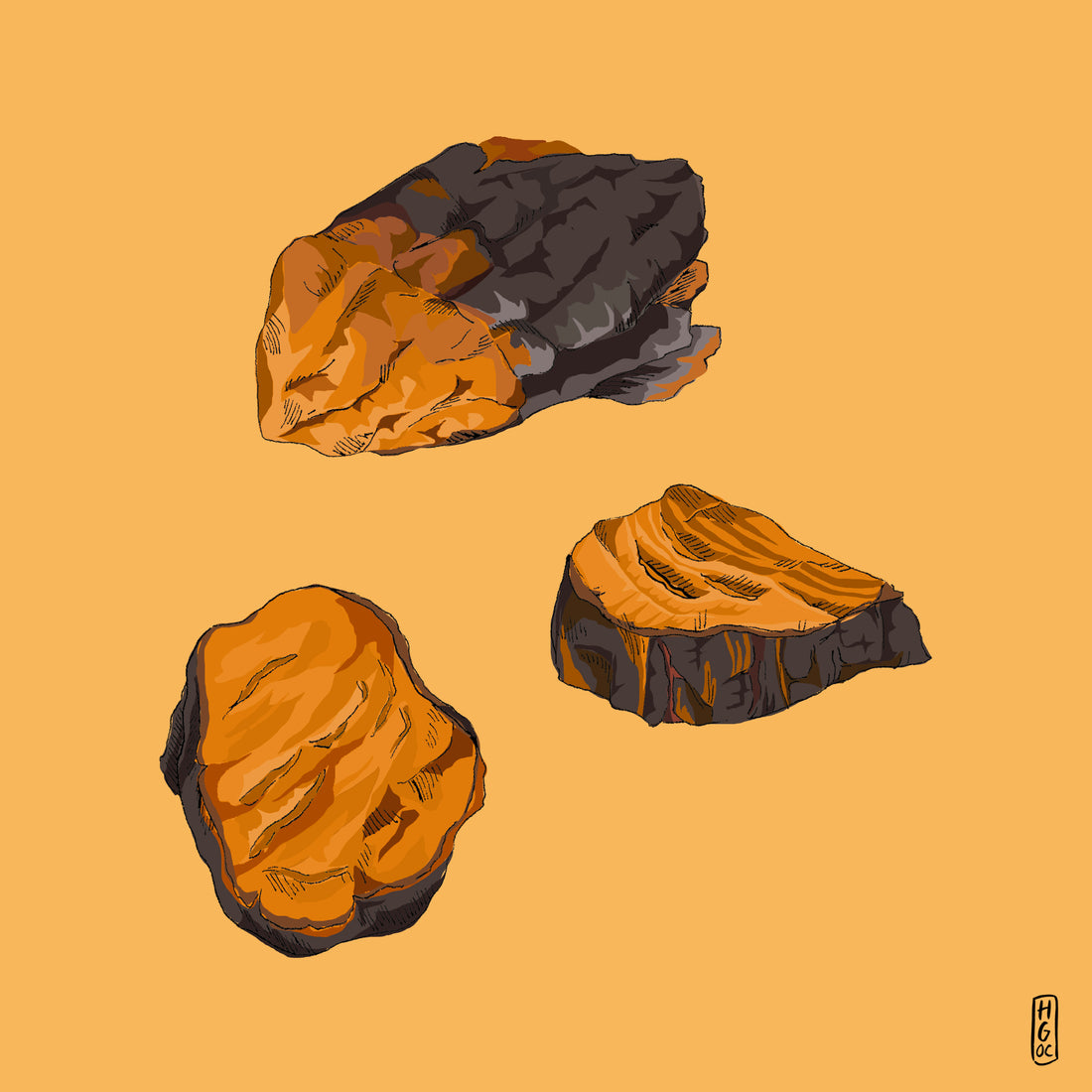 Chaga: Your daily bodyguard - Wunder Workshop