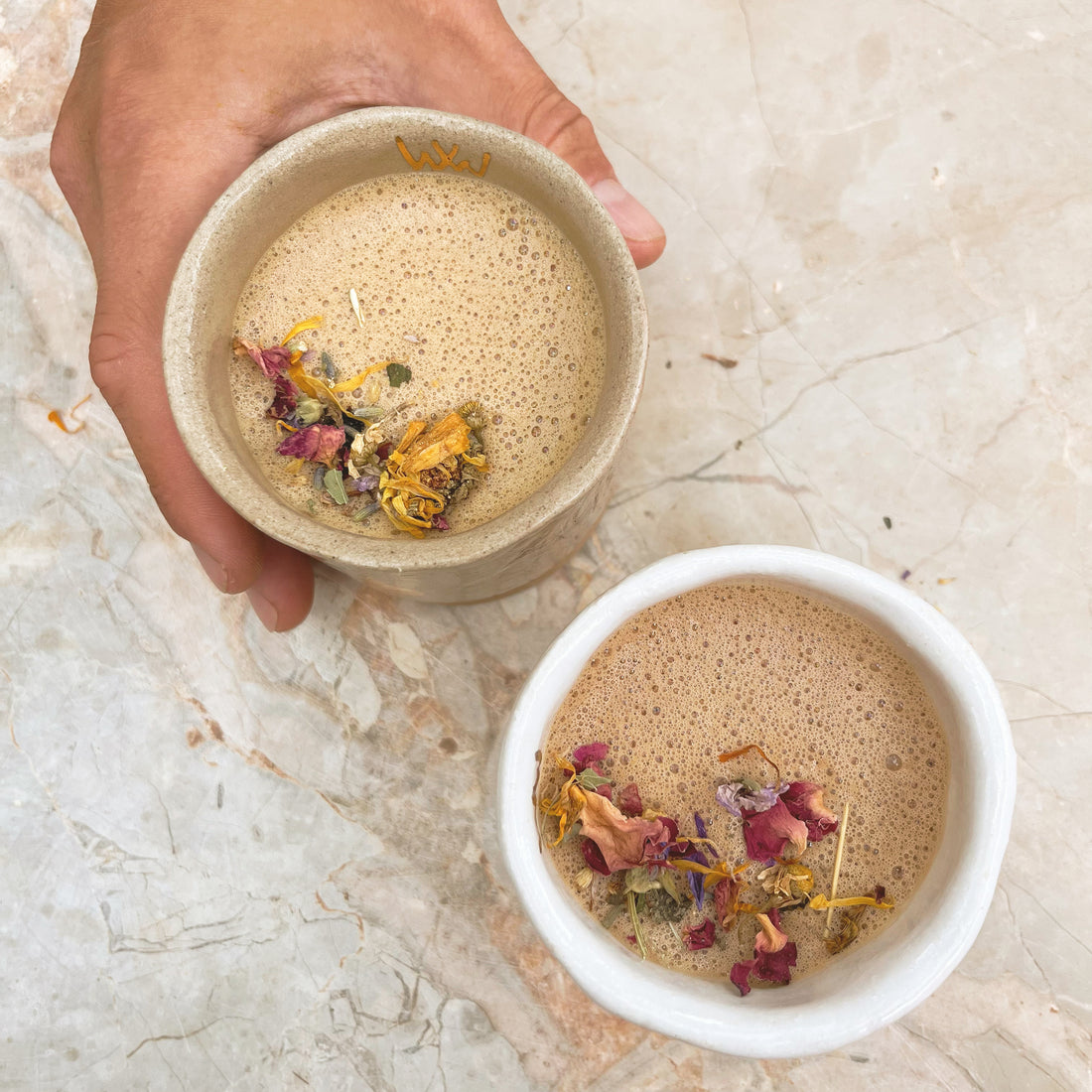 Wunder Workshop Equinox Elixir Reishi Cordyceps immune health