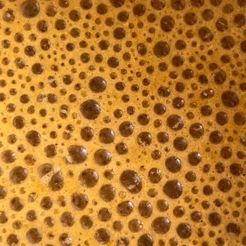 bulletproof shrooms coffee wunder workshop reishi cordyceps