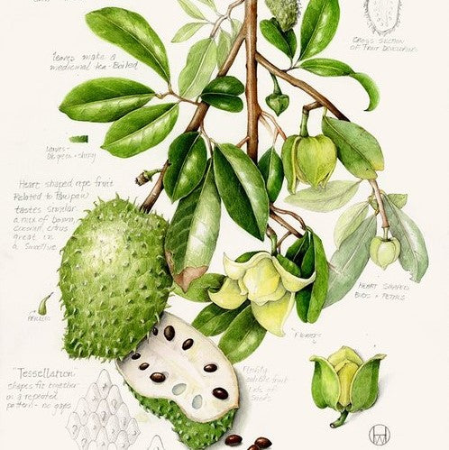 Golden Spirit Tea - Wunder Workshop