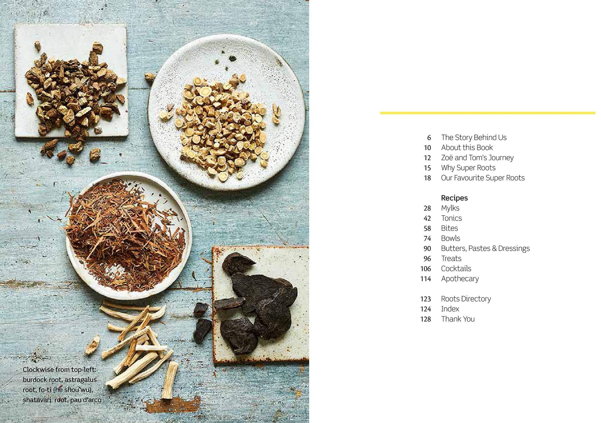 SUPER ROOT SPICES - The WUNDER book - Wunder Workshop