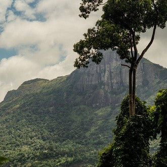 Getting to the root of it: Why sustainable farming matters - Wunder Workshop