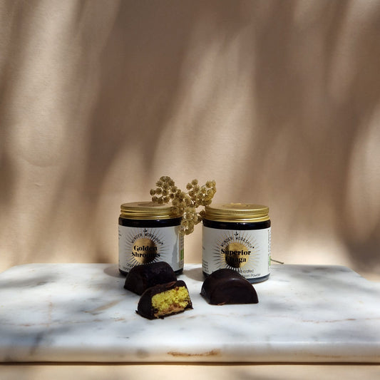Turmeric, Coconut & Mushroom Chocolate Truffles - Wunder Workshop