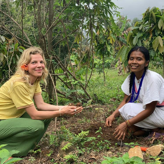 Wunder Forest Impact Report - Wunder Workshop