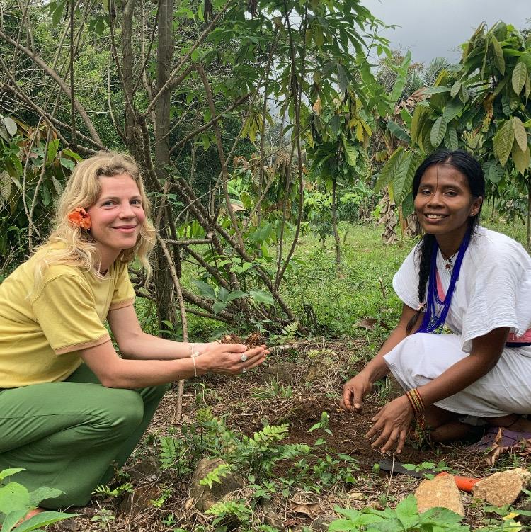 Wunder Forest Impact Report - Wunder Workshop