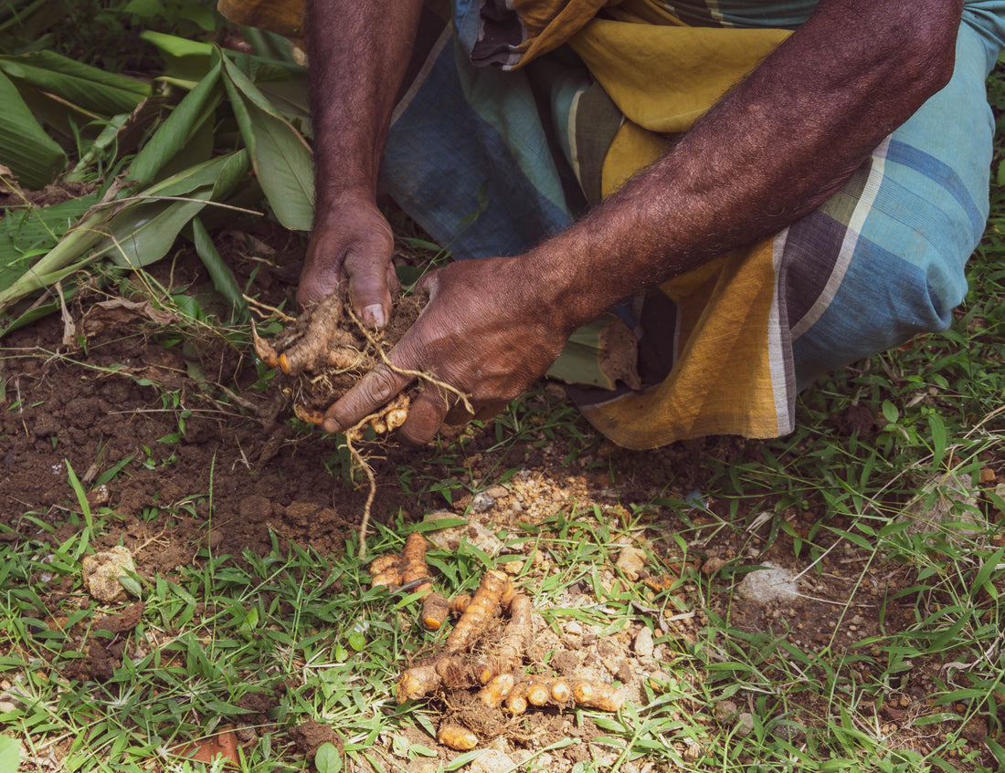 The Hands That Feed Us