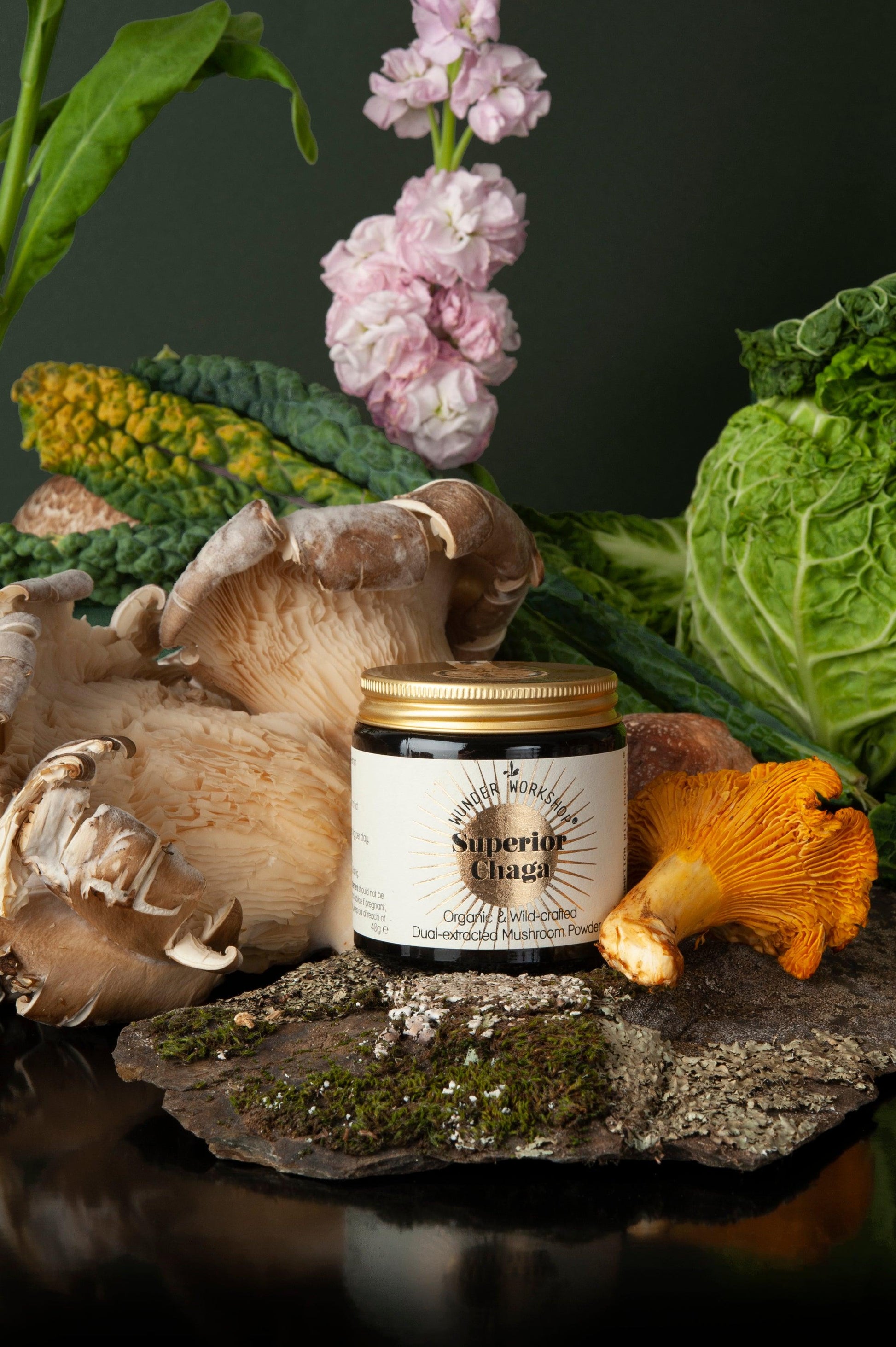 SUPERIOR CHAGA - Wild-Crafted, dual-extracted mushroom powder - Wunder Workshop