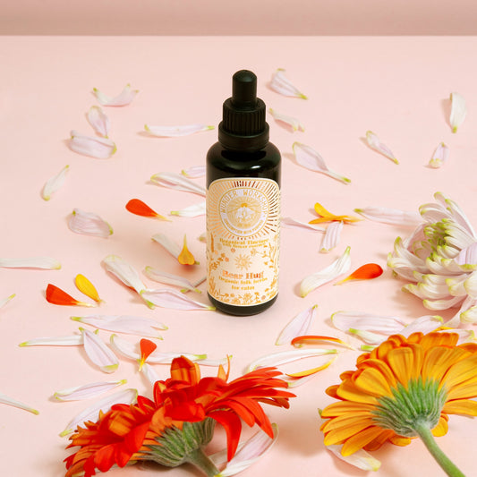 Wunder Workshop Bear Hug