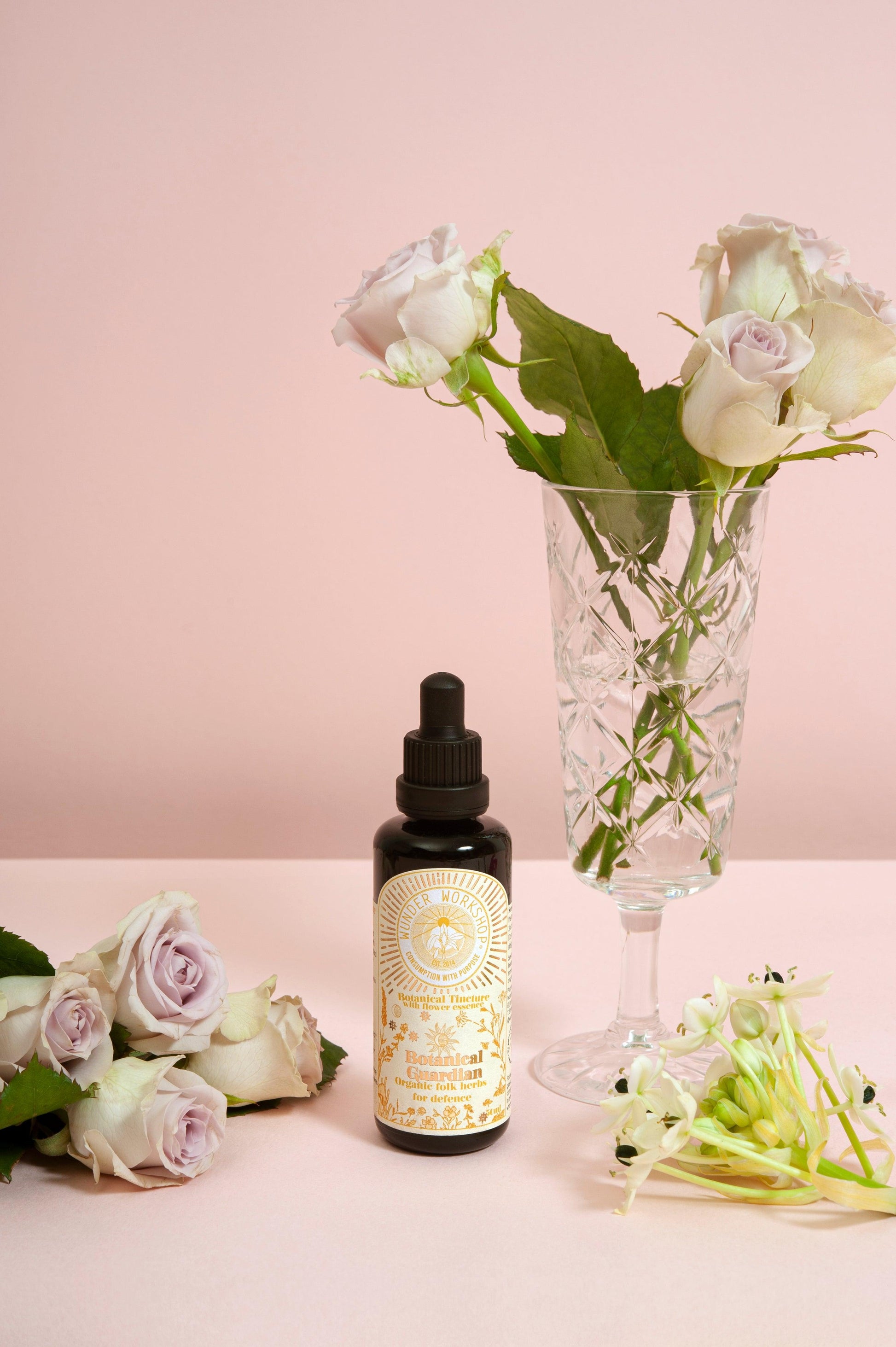 BOTANICAL GUARDIAN - folk herbs for defence - Wunder Workshop