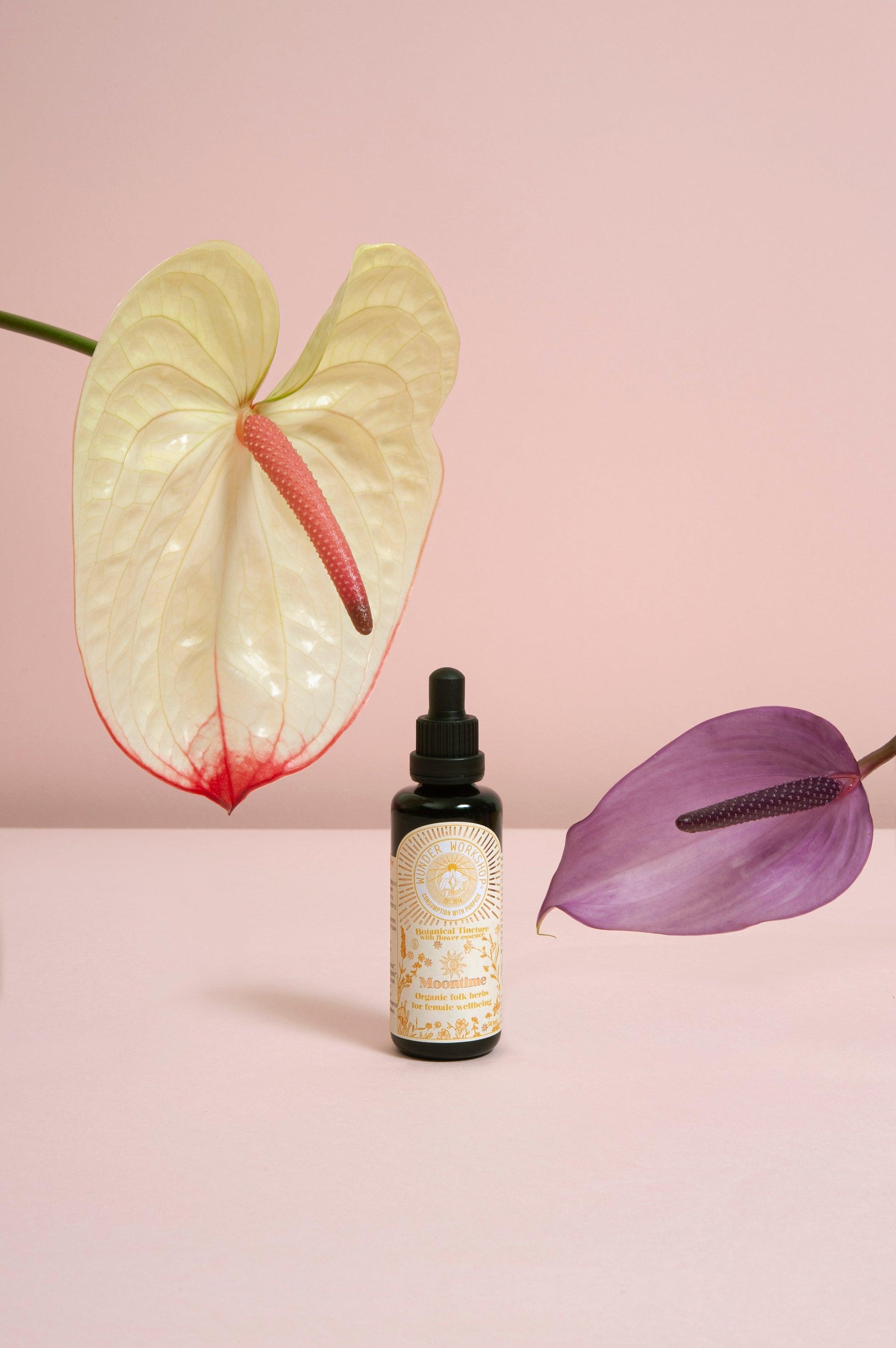 MOONTIME - folk herbs for women's health - Wunder Workshop