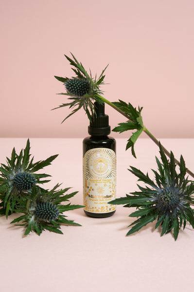 wild wisdom tincture folk herbs for focus 