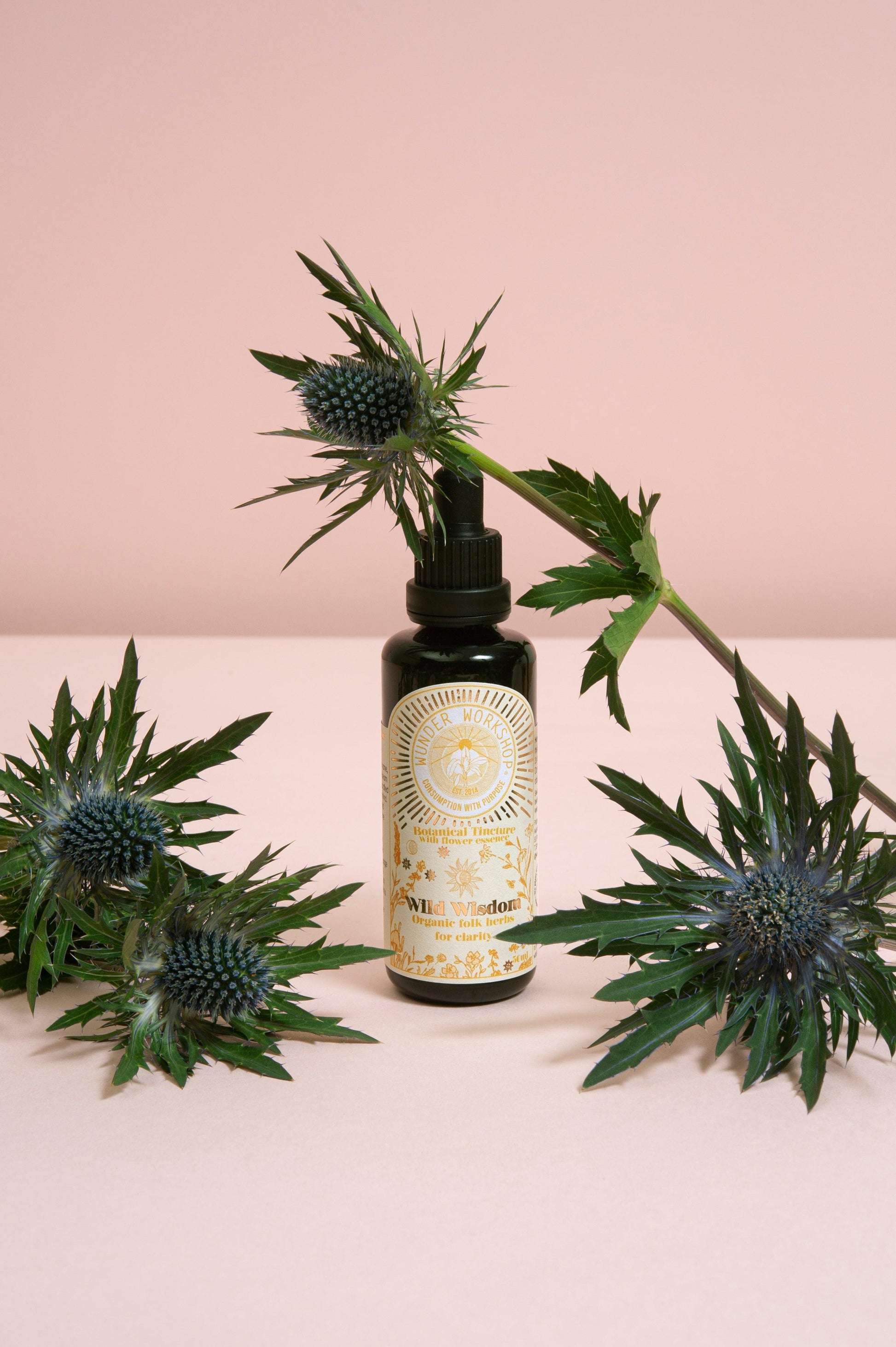 WILD WISDOM - folk herbs for clarity - Wunder Workshop