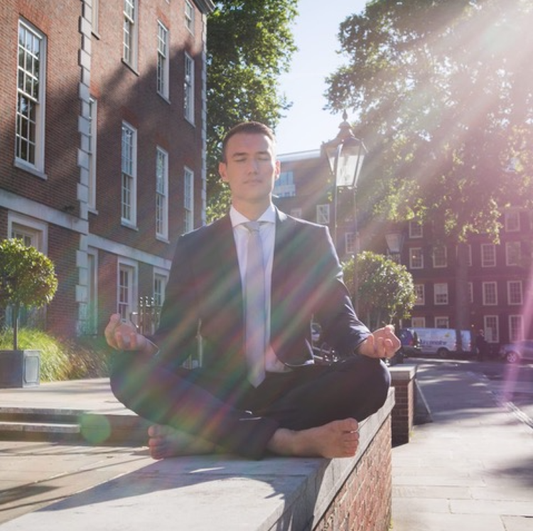 Golden Balance: Neil Seligman - Wunder Workshop